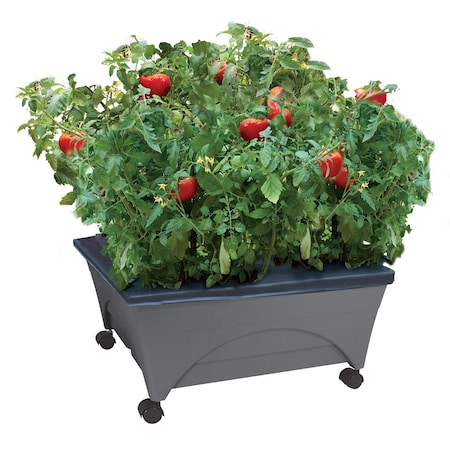 Emsco Group Raised Bed Grow Box, Self Watering and Improved Aeration, Mobile Unit with Casters, Slate 2346-1HD